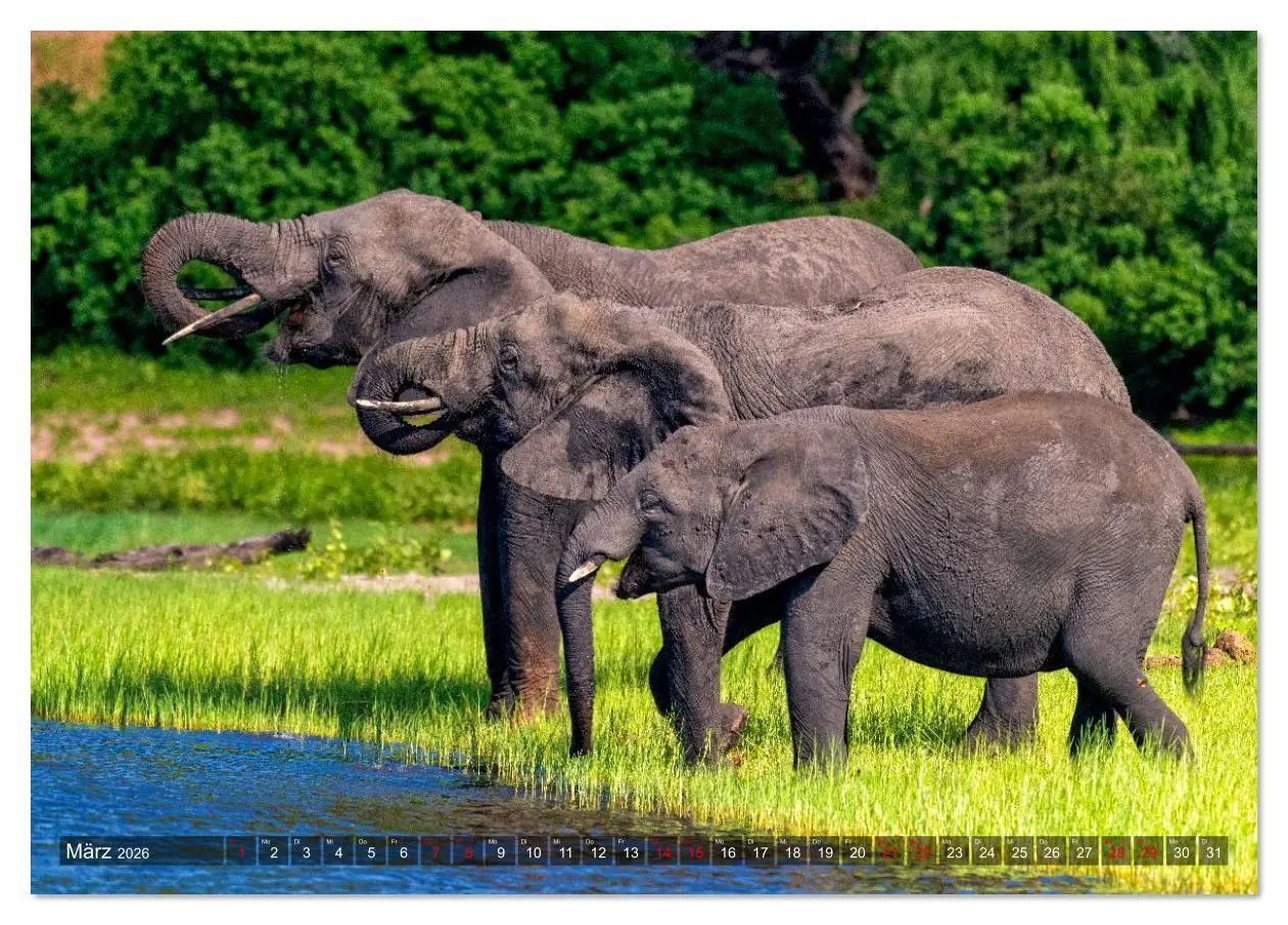 Bild: 9783516627015 | Namibia und Botswana - Entdeckungen in der Weite Afrikas...