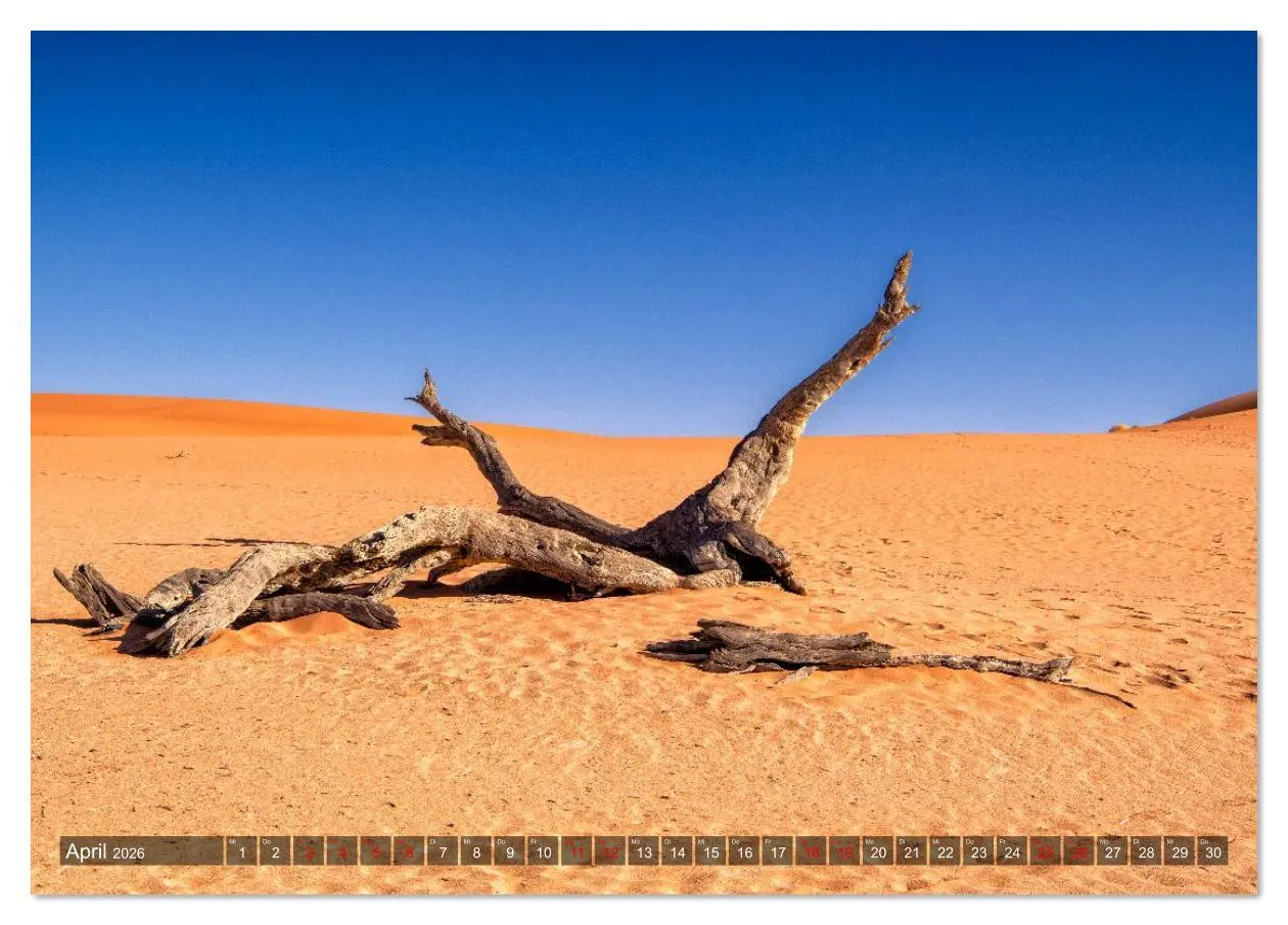 Bild: 9783516627015 | Namibia und Botswana - Entdeckungen in der Weite Afrikas...