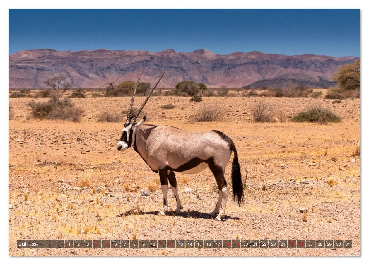 Bild: 9783516627015 | Namibia und Botswana - Entdeckungen in der Weite Afrikas...