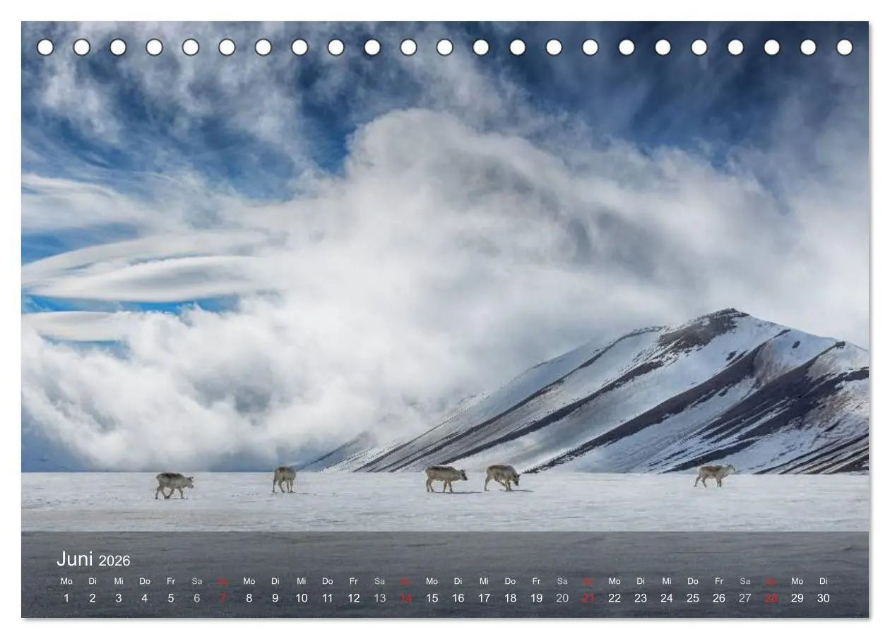 Bild: 9783516087215 | Spitzbergen - Impressionen aus der Arktis (Tischkalender 2026 DIN...