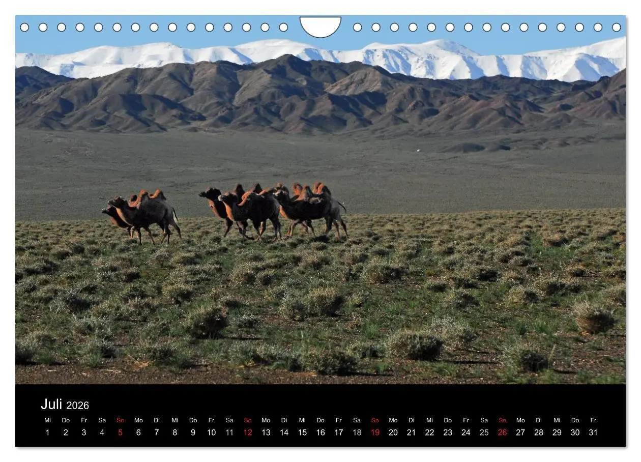Bild: 9783516147315 | Einsame Mongolei (Wandkalender 2026 DIN A4 quer), CALVENDO...