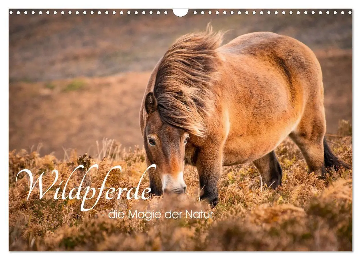 Cover: 9783516697315 | Wildperde - die Magie der Natur (Wandkalender 2026 DIN A3 quer),...