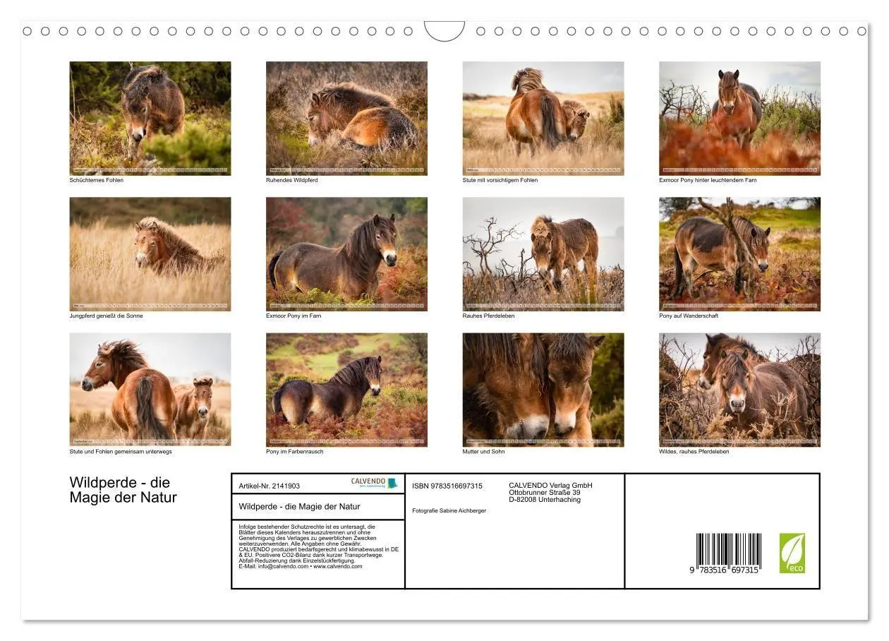 Bild: 9783516697315 | Wildperde - die Magie der Natur (Wandkalender 2026 DIN A3 quer),...