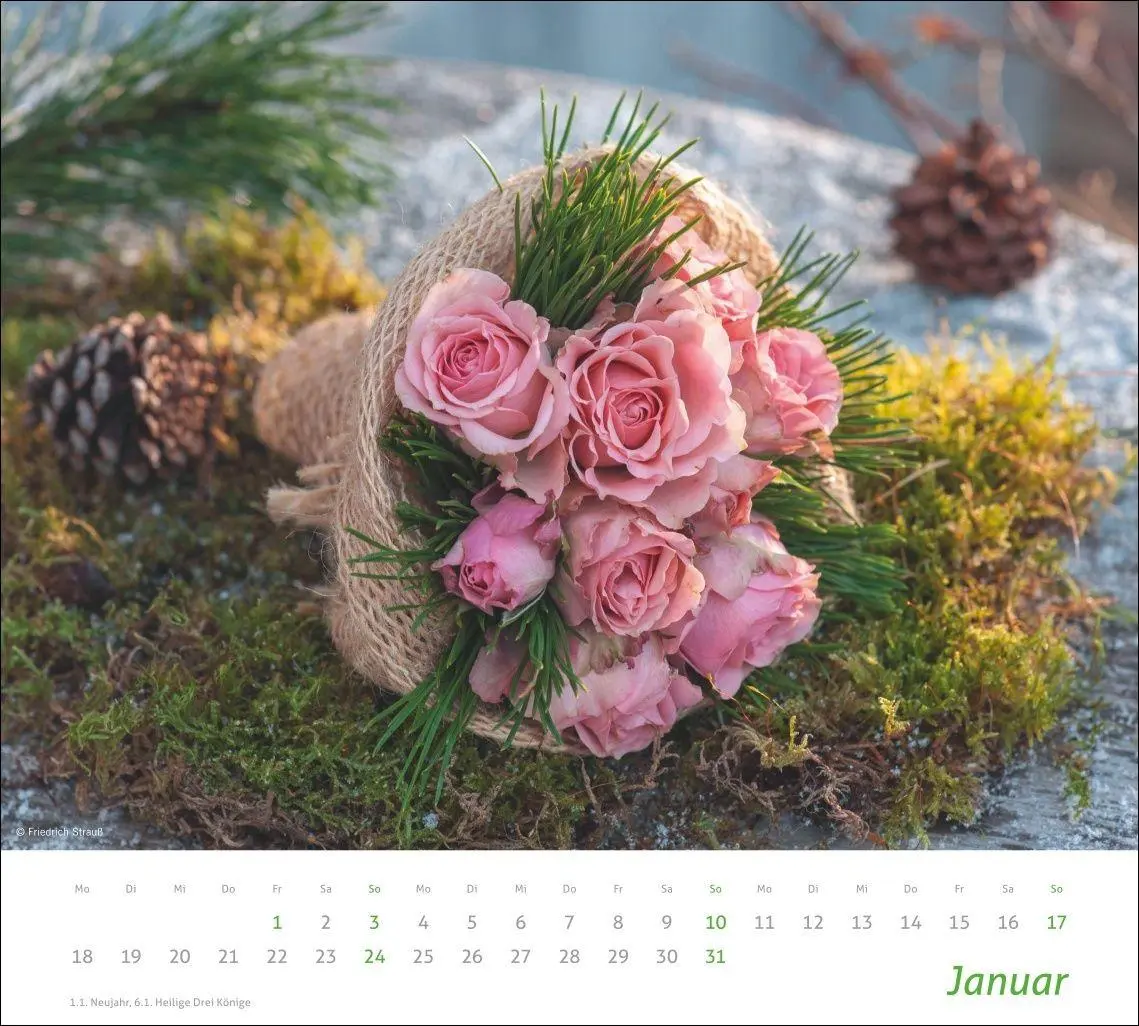 Bild: 9783756417315 | times&amp;more Blumen Bildkalender 2027 | Heye | Kalender | Spiralbindung