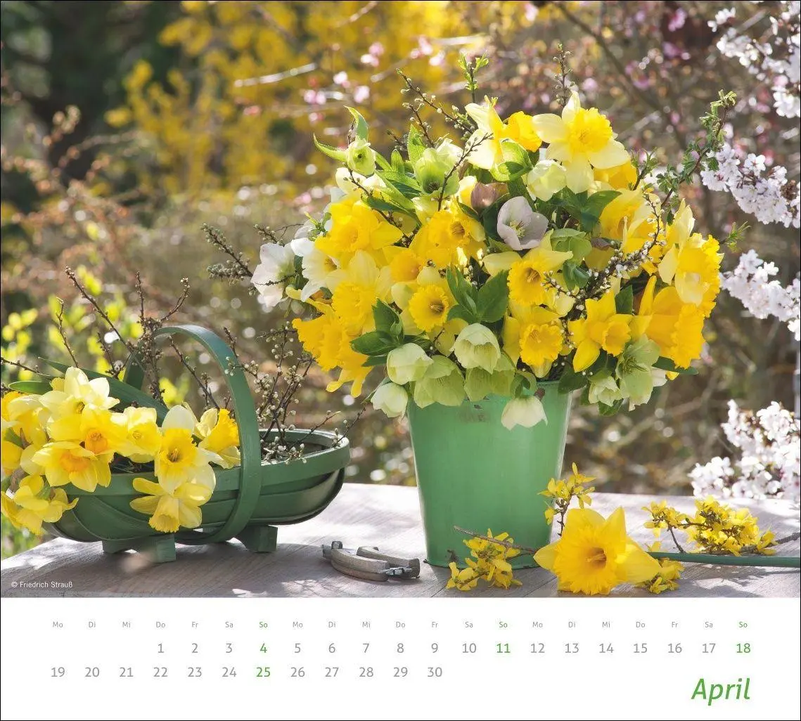 Bild: 9783756417315 | times&amp;more Blumen Bildkalender 2027 | Heye | Kalender | Spiralbindung