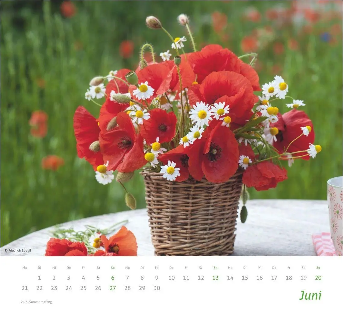 Bild: 9783756417315 | times&amp;more Blumen Bildkalender 2027 | Heye | Kalender | Spiralbindung