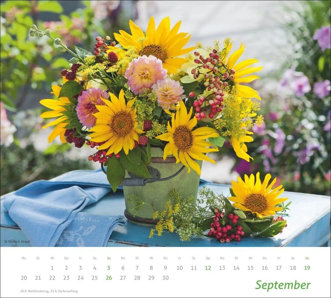 Bild: 9783756417315 | times&amp;more Blumen Bildkalender 2027 | Heye | Kalender | Spiralbindung