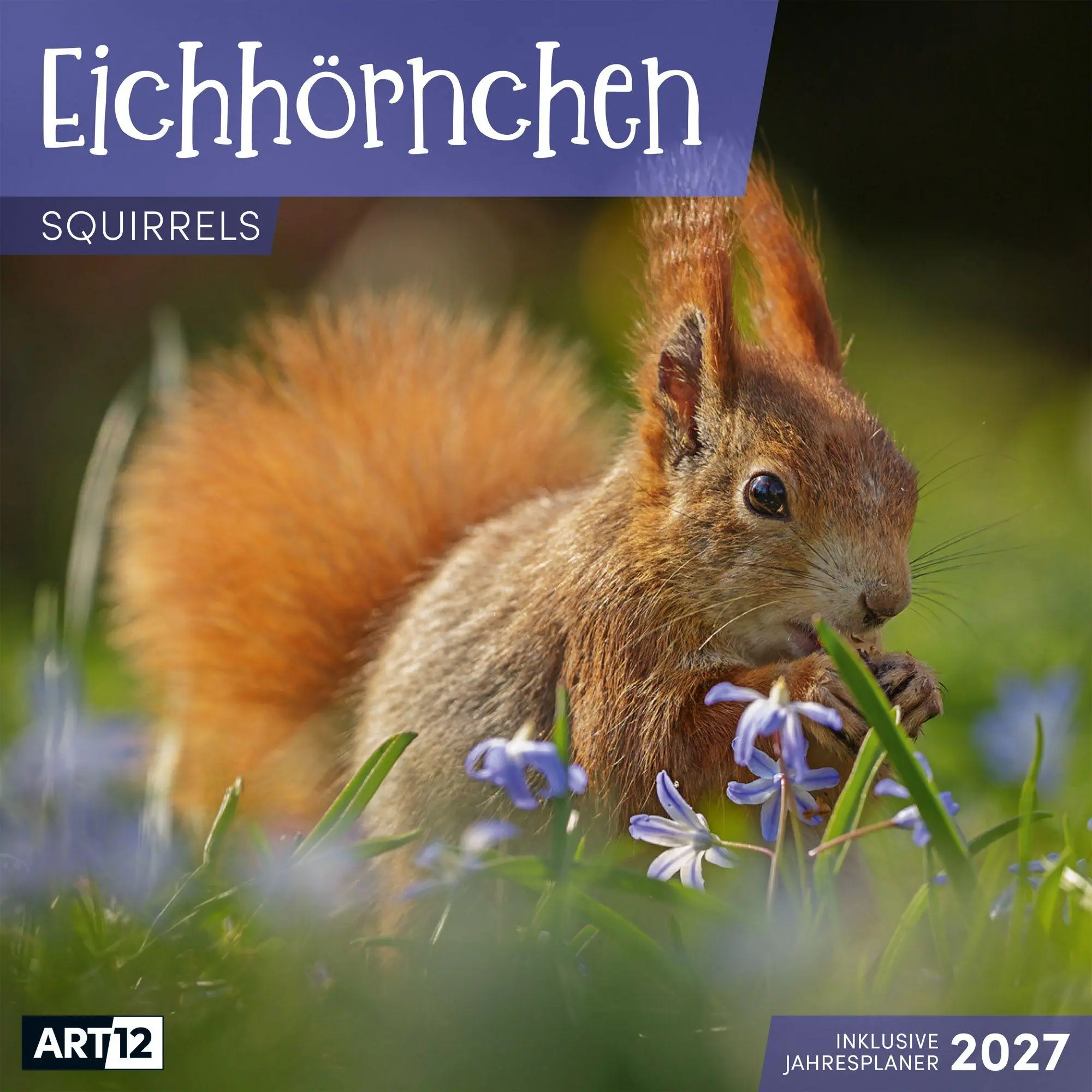 Cover: 9783838447315 | Eichhörnchen Kalender 2027 - 30x30 - Art12 | GmbH | Kalender | 28 S.
