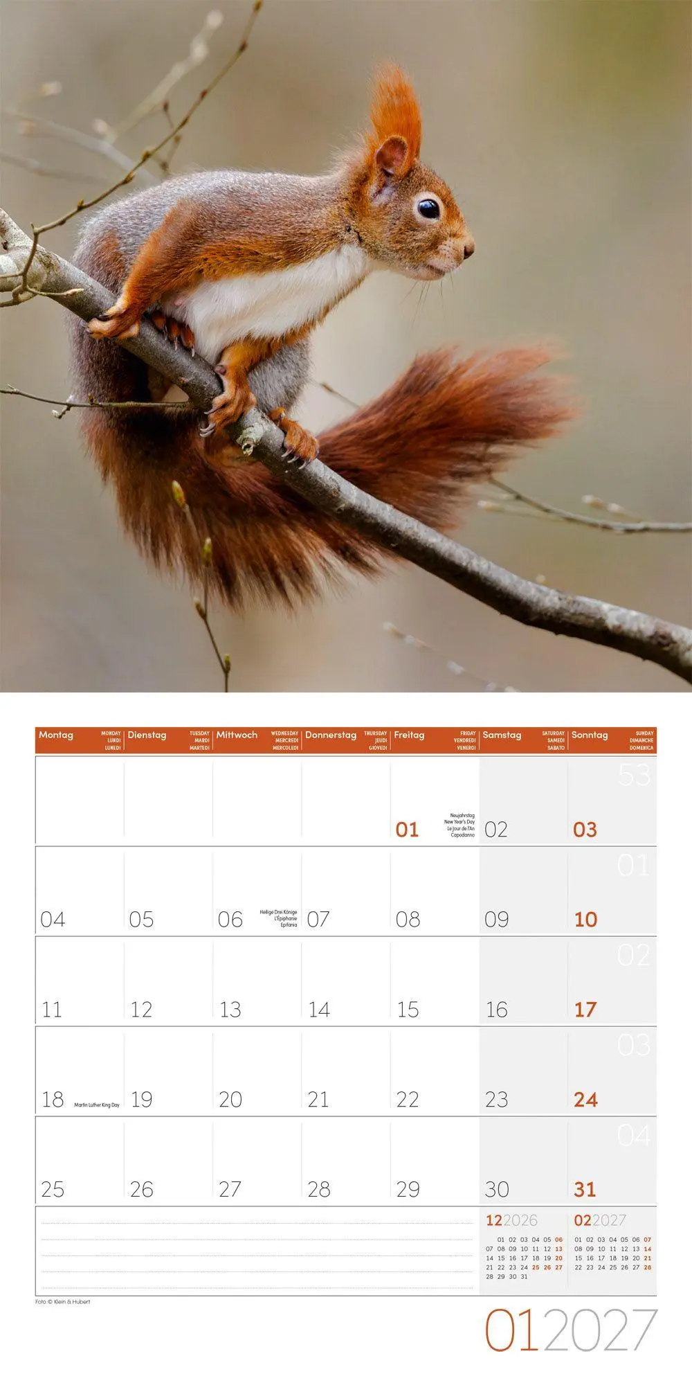 Bild: 9783838447315 | Eichhörnchen Kalender 2027 - 30x30 - Art12 | GmbH | Kalender | 28 S.