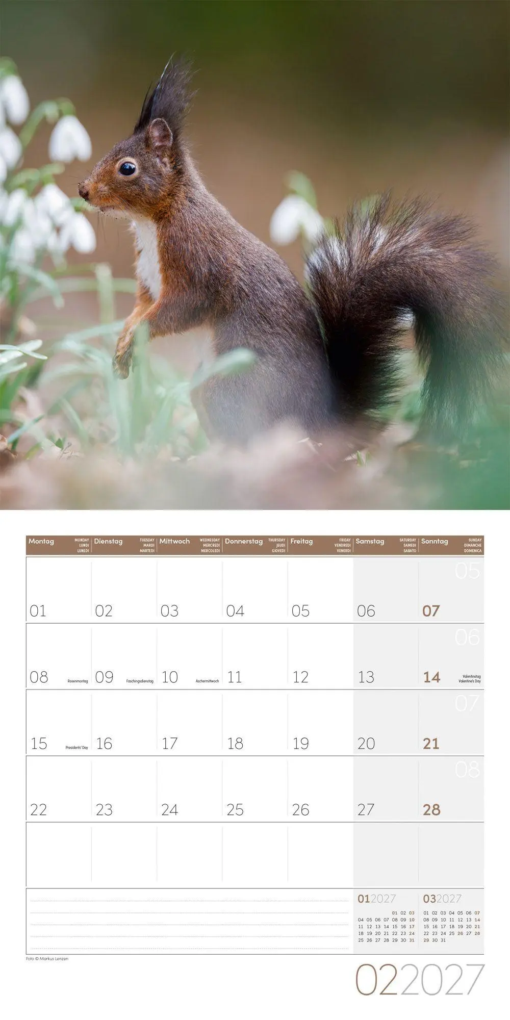 Bild: 9783838447315 | Eichhörnchen Kalender 2027 - 30x30 - Art12 | GmbH | Kalender | 28 S.