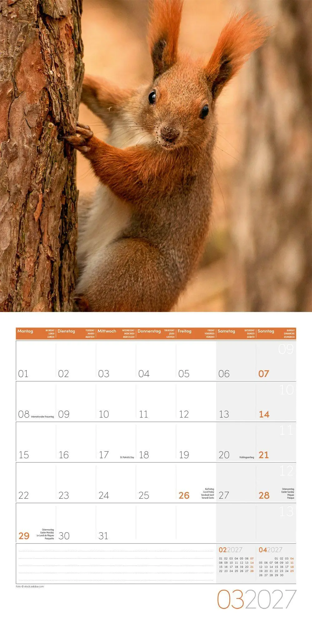 Bild: 9783838447315 | Eichhörnchen Kalender 2027 - 30x30 - Art12 | GmbH | Kalender | 28 S.