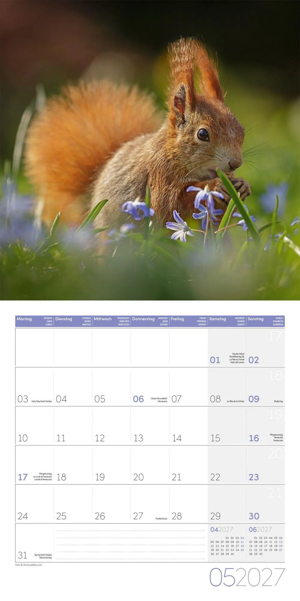 Bild: 9783838447315 | Eichhörnchen Kalender 2027 - 30x30 - Art12 | GmbH | Kalender | 28 S.