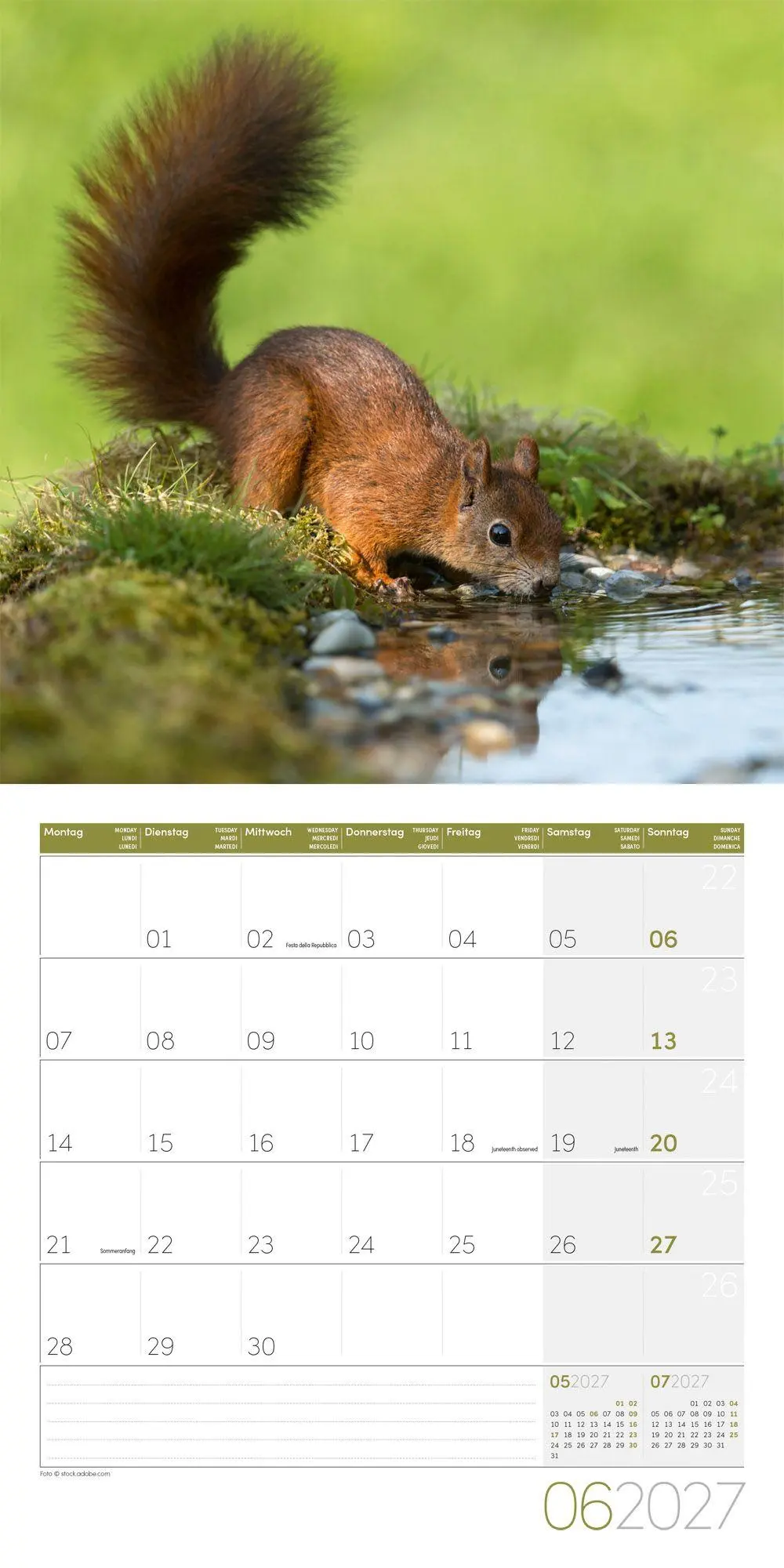 Bild: 9783838447315 | Eichhörnchen Kalender 2027 - 30x30 - Art12 | GmbH | Kalender | 28 S.