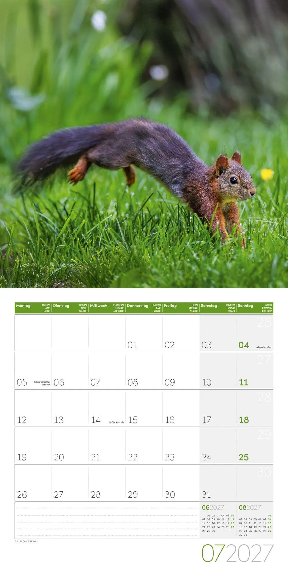 Bild: 9783838447315 | Eichhörnchen Kalender 2027 - 30x30 - Art12 | GmbH | Kalender | 28 S.
