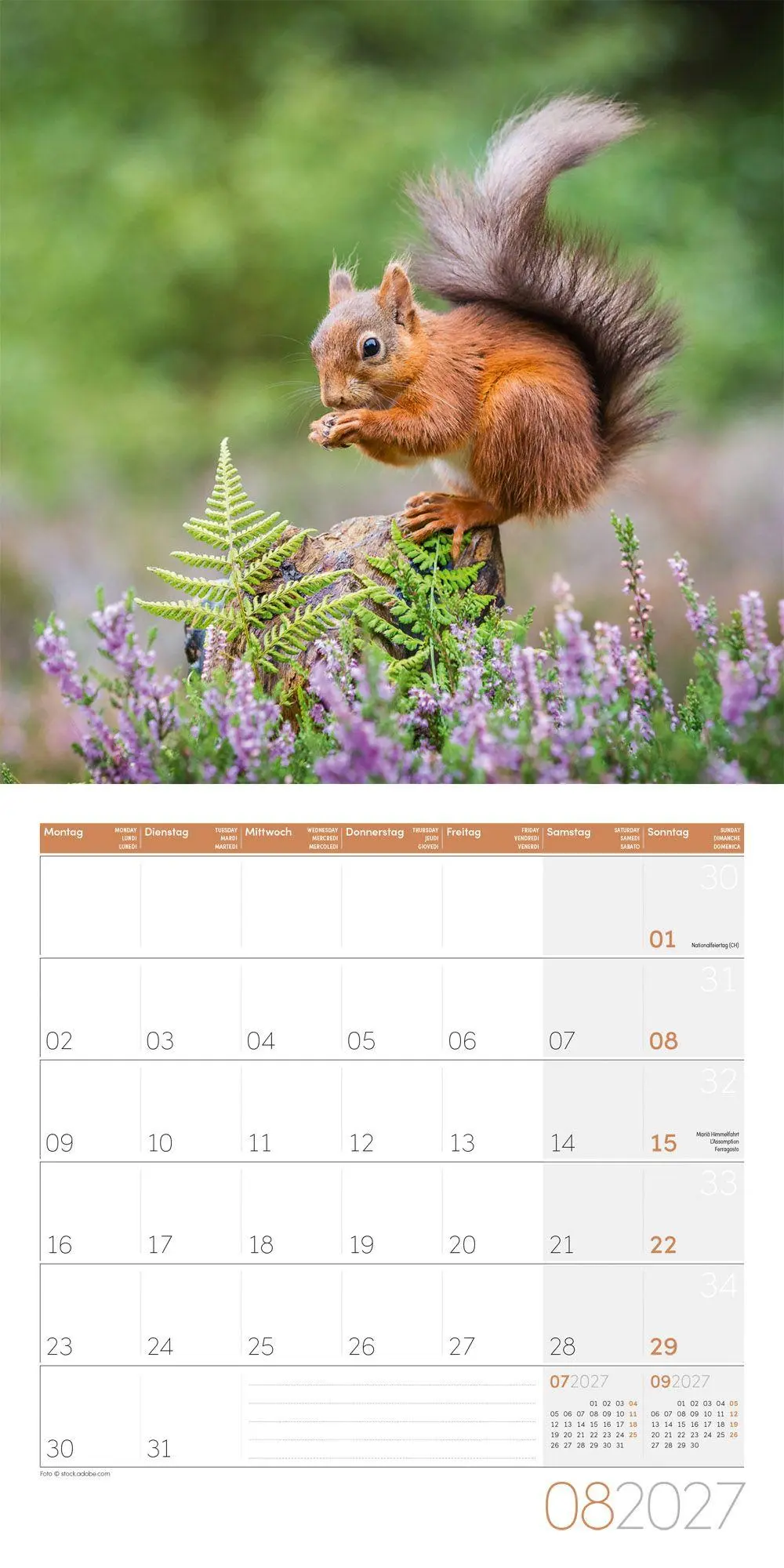 Bild: 9783838447315 | Eichhörnchen Kalender 2027 - 30x30 - Art12 | GmbH | Kalender | 28 S.