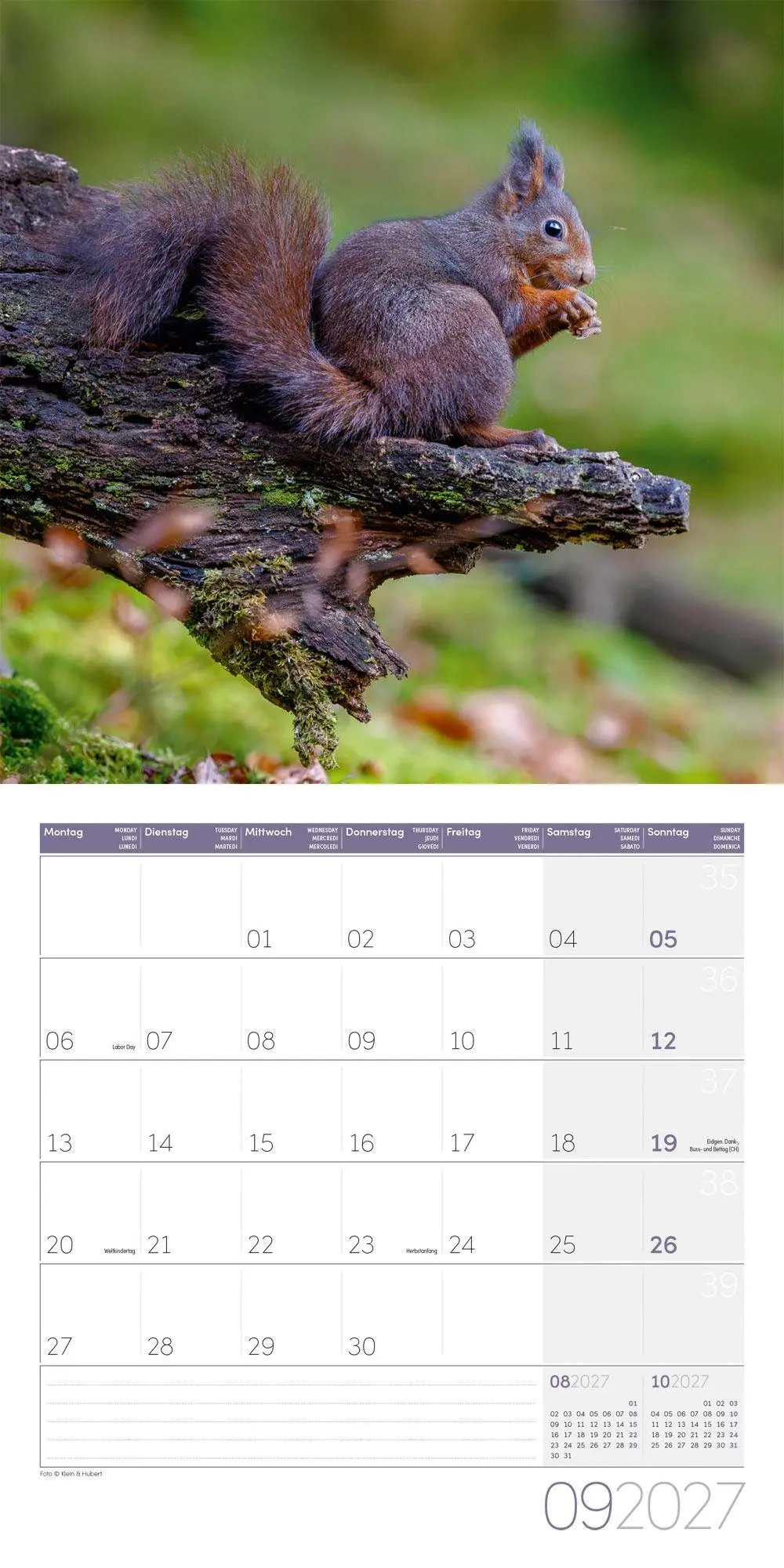 Bild: 9783838447315 | Eichhörnchen Kalender 2027 - 30x30 - Art12 | GmbH | Kalender | 28 S.