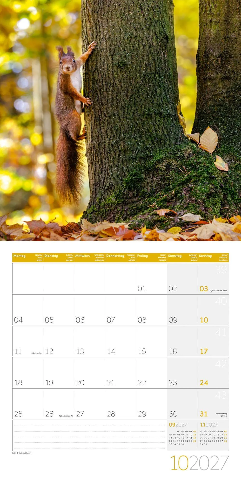 Bild: 9783838447315 | Eichhörnchen Kalender 2027 - 30x30 - Art12 | GmbH | Kalender | 28 S.