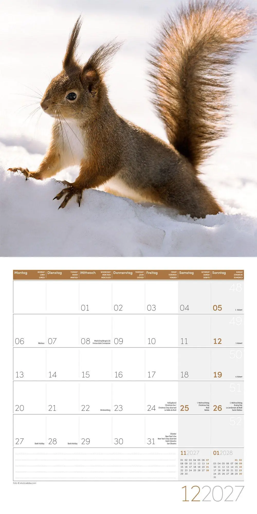 Bild: 9783838447315 | Eichhörnchen Kalender 2027 - 30x30 - Art12 | GmbH | Kalender | 28 S.