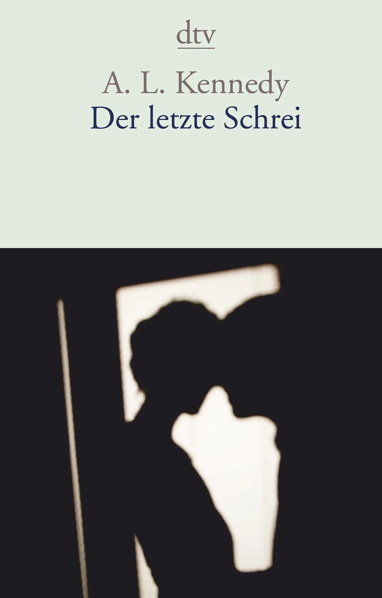 Cover: 9783423147415 | Der letzte Schrei | Erzählungen | A. L. Kennedy | Taschenbuch | 208 S.