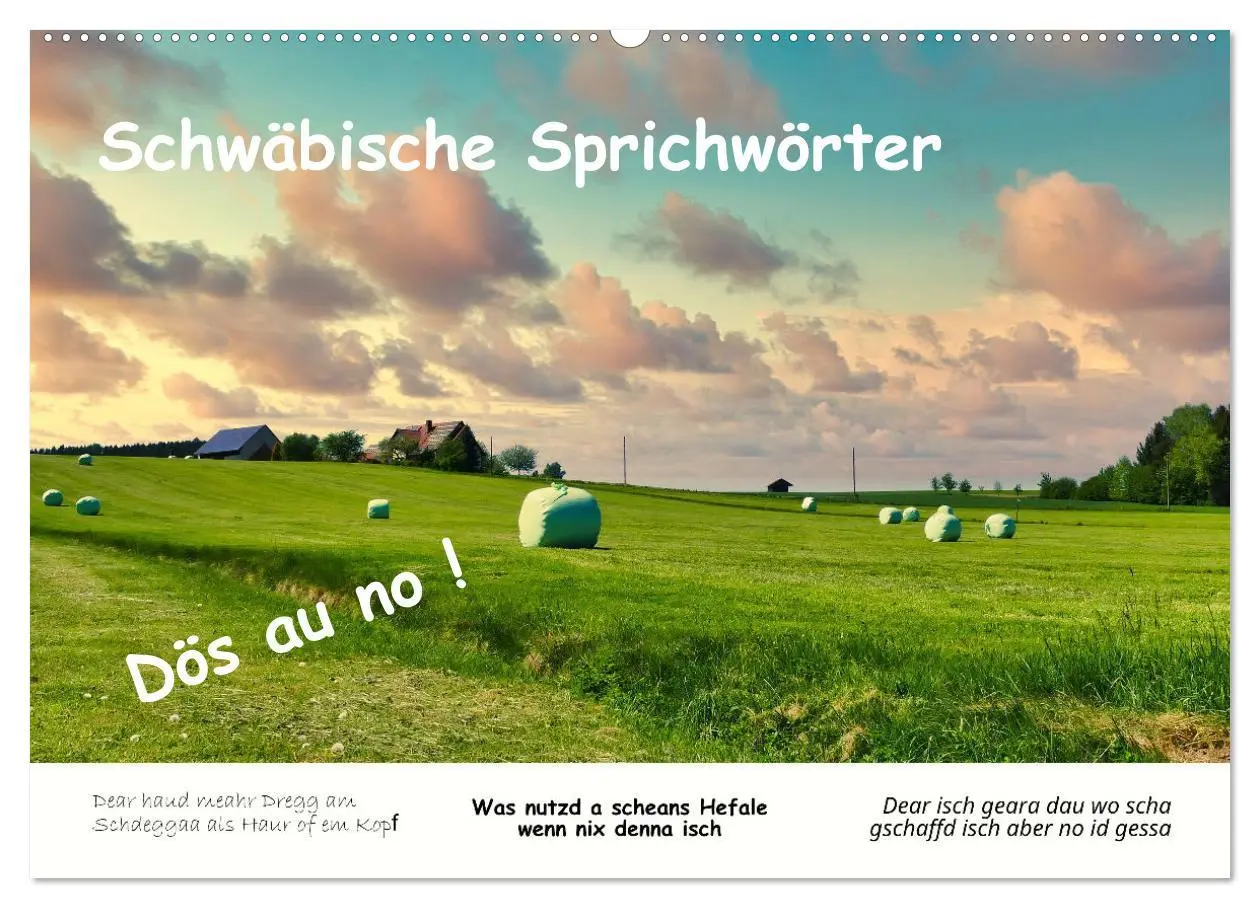 Cover: 9783457287415 | 03 Schwäbische Sprichwörter - Dös au no! (Wandkalender 2026 DIN A2...