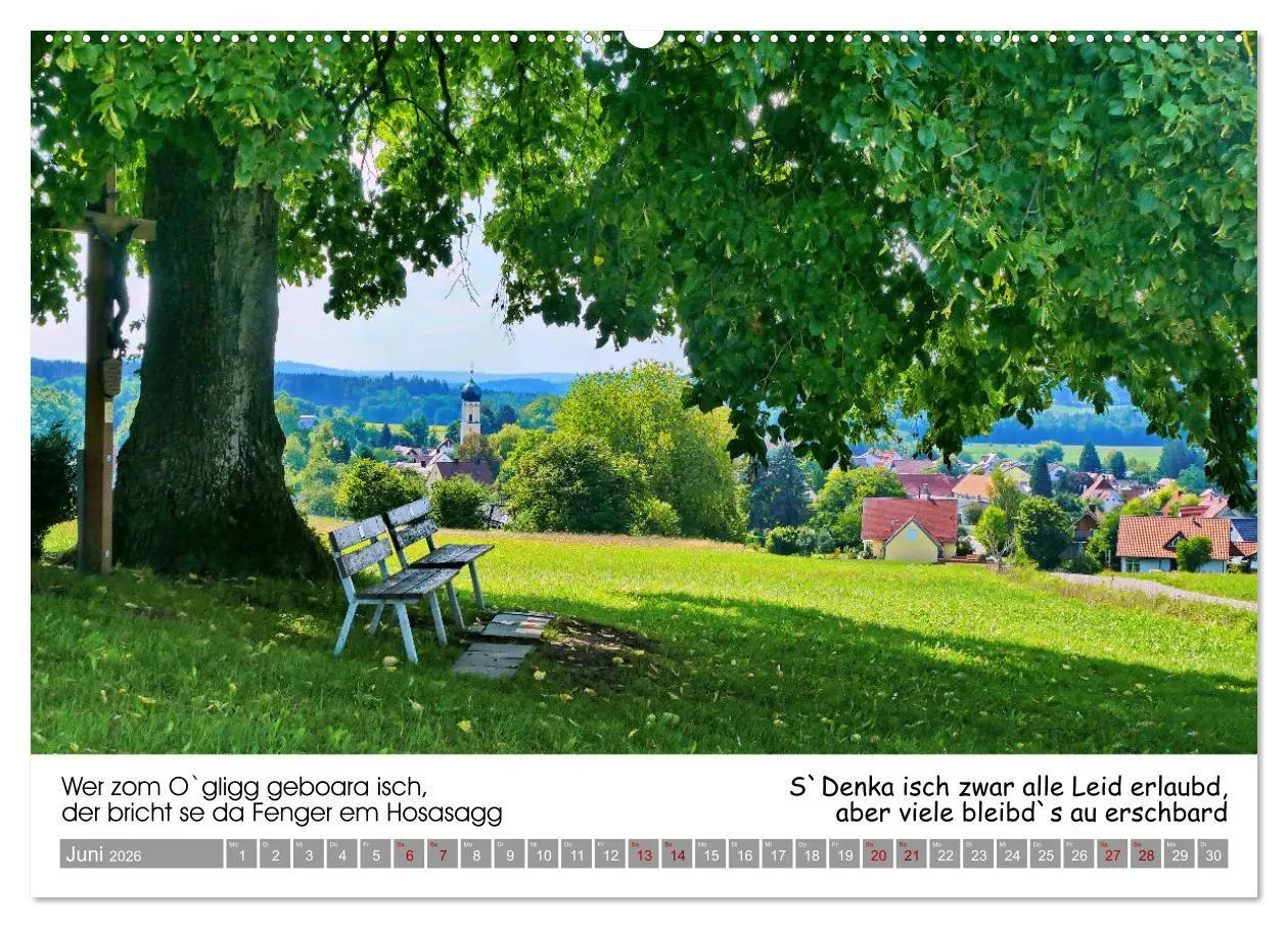 Bild: 9783457287415 | 03 Schwäbische Sprichwörter - Dös au no! (Wandkalender 2026 DIN A2...
