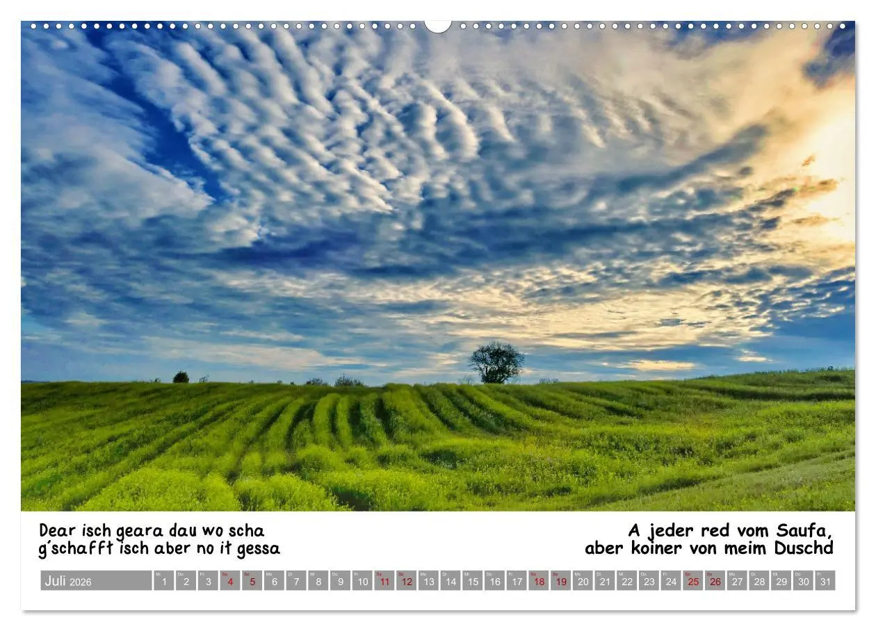 Bild: 9783457287415 | 03 Schwäbische Sprichwörter - Dös au no! (Wandkalender 2026 DIN A2...