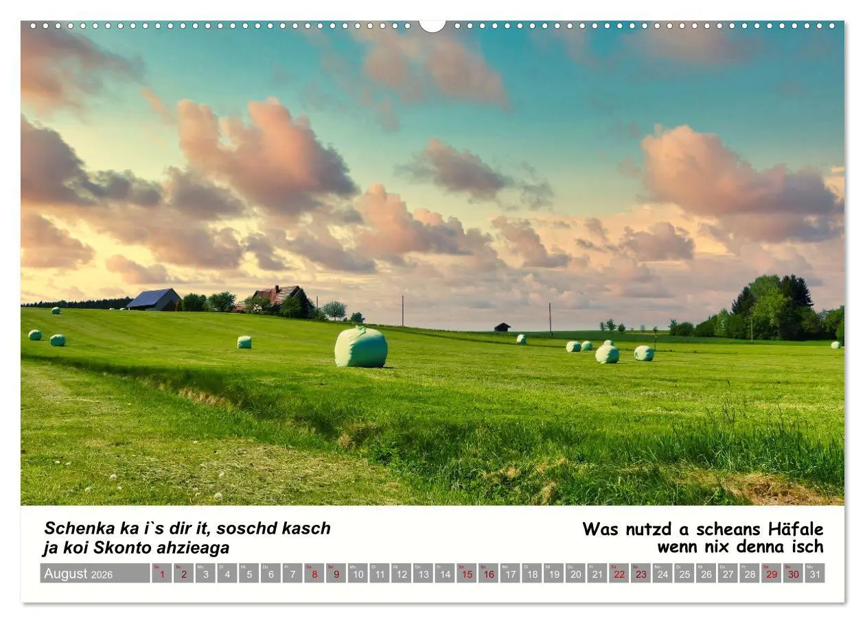 Bild: 9783457287415 | 03 Schwäbische Sprichwörter - Dös au no! (Wandkalender 2026 DIN A2...