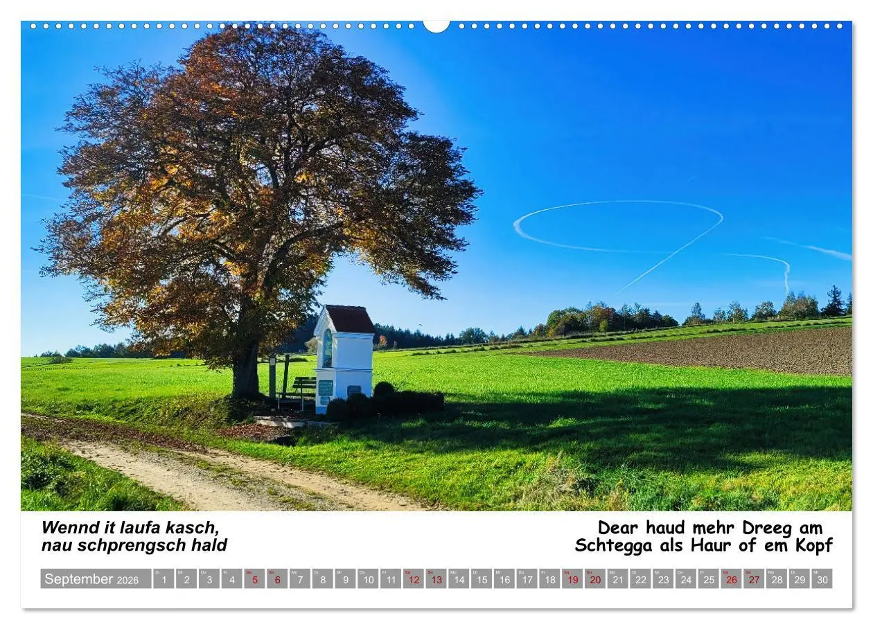 Bild: 9783457287415 | 03 Schwäbische Sprichwörter - Dös au no! (Wandkalender 2026 DIN A2...