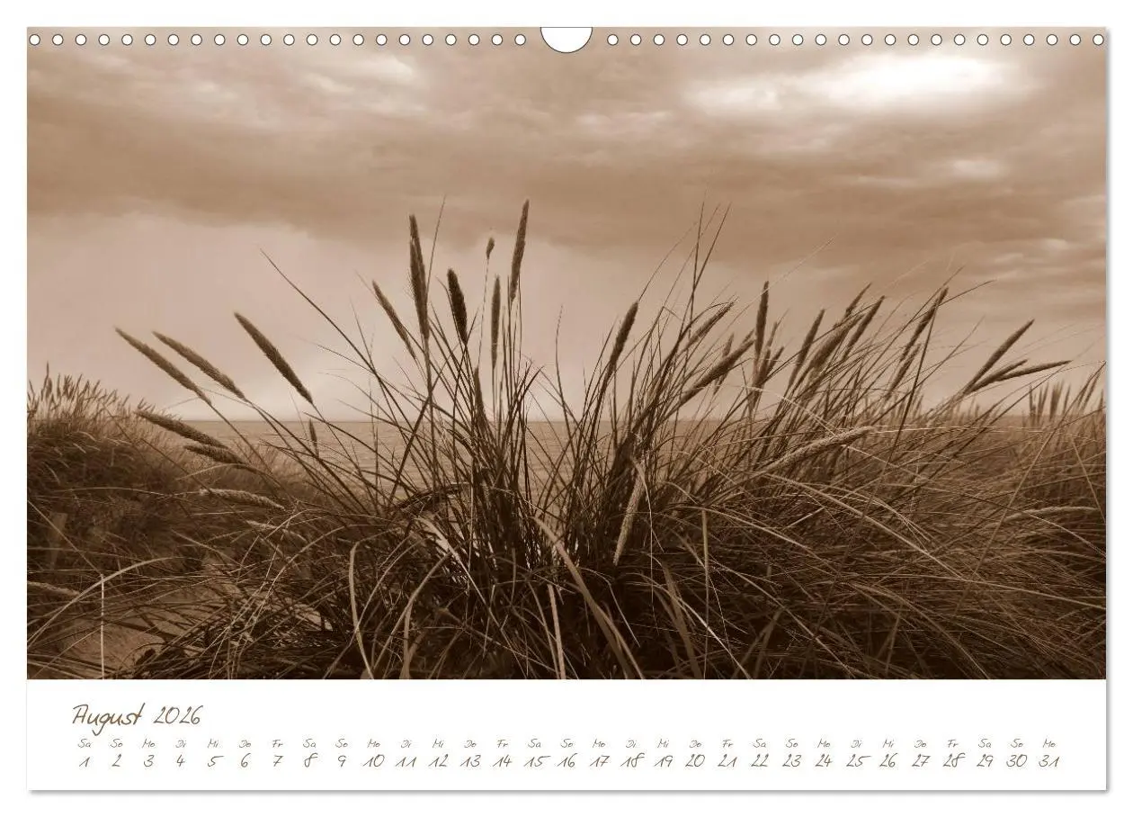 Bild: 9783457977415 | Ostsee-Nostalgie (Wandkalender 2026 DIN A3 quer), CALVENDO...