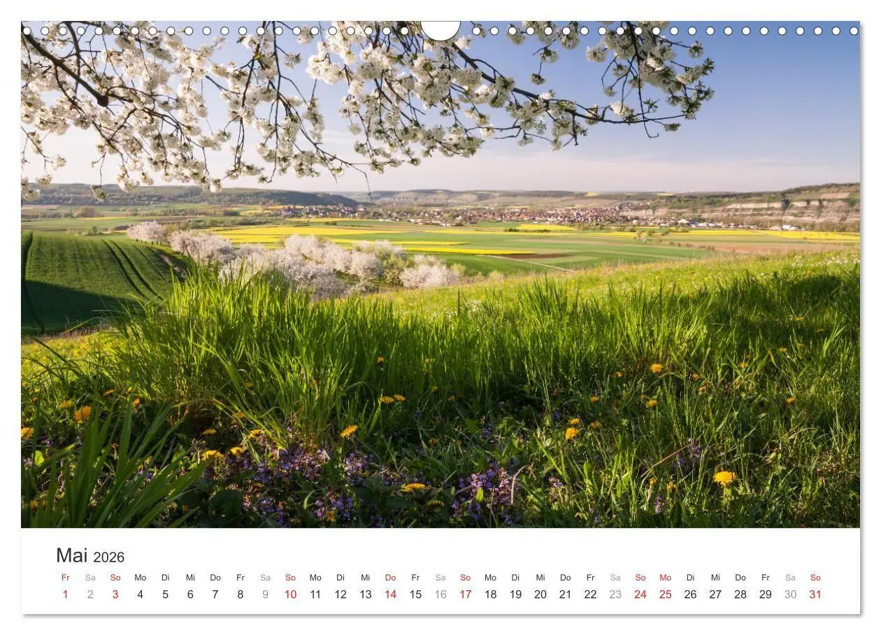 Bild: 9783516207415 | Malerisches Mainfranken (Wandkalender 2026 DIN A3 quer), CALVENDO...