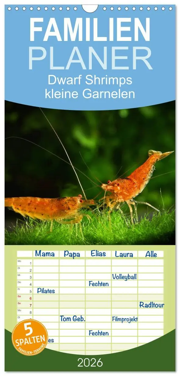 Cover: 9783516517415 | Familienplaner 2026 - Dwarf Shrimps - kleine Garnelen mit 5 Spalten...