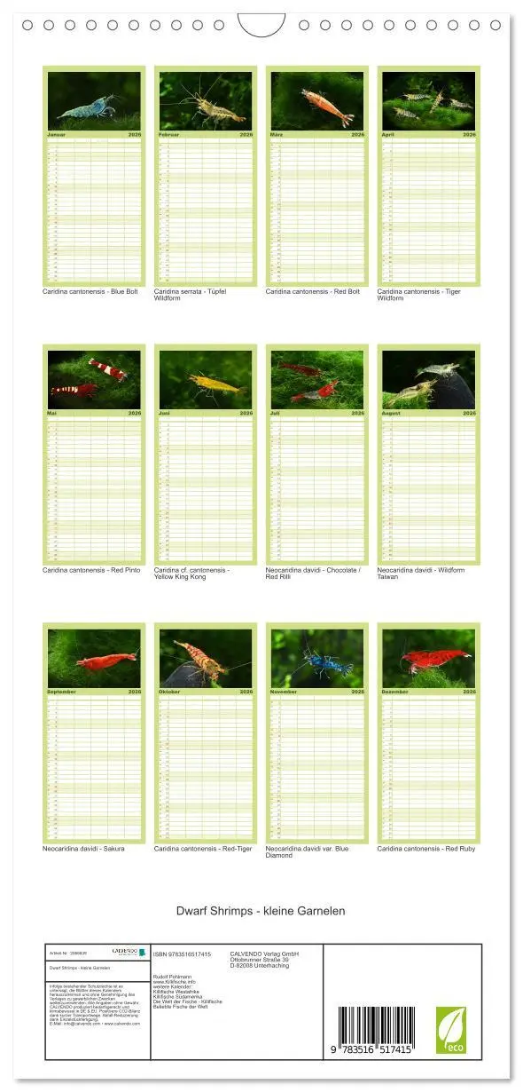Bild: 9783516517415 | Familienplaner 2026 - Dwarf Shrimps - kleine Garnelen mit 5 Spalten...