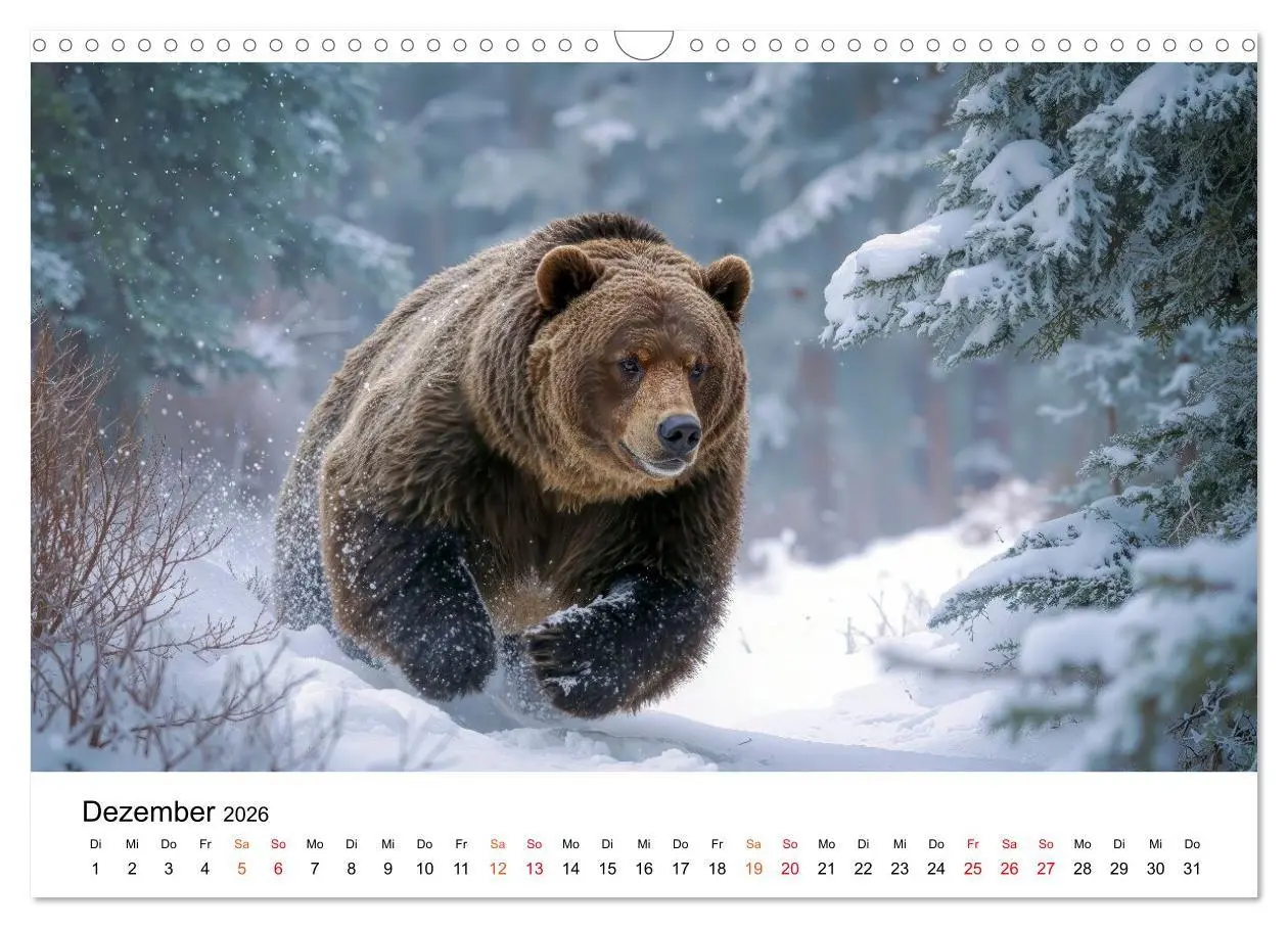 Bild: 9783516687415 | Bären - Die Macht der Natur (Wandkalender 2026 DIN A3 quer),...