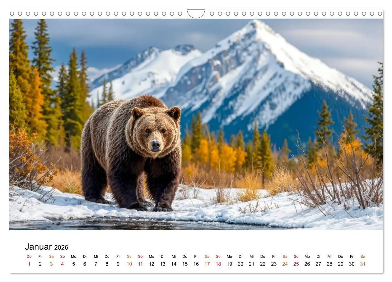 Bild: 9783516687415 | Bären - Die Macht der Natur (Wandkalender 2026 DIN A3 quer),...