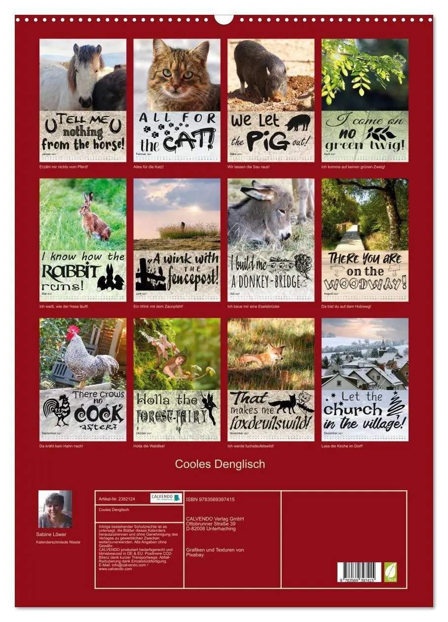 Bild: 9783569397415 | Cooles Denglisch (Wandkalender 2027 DIN A2 hoch), CALVENDO...