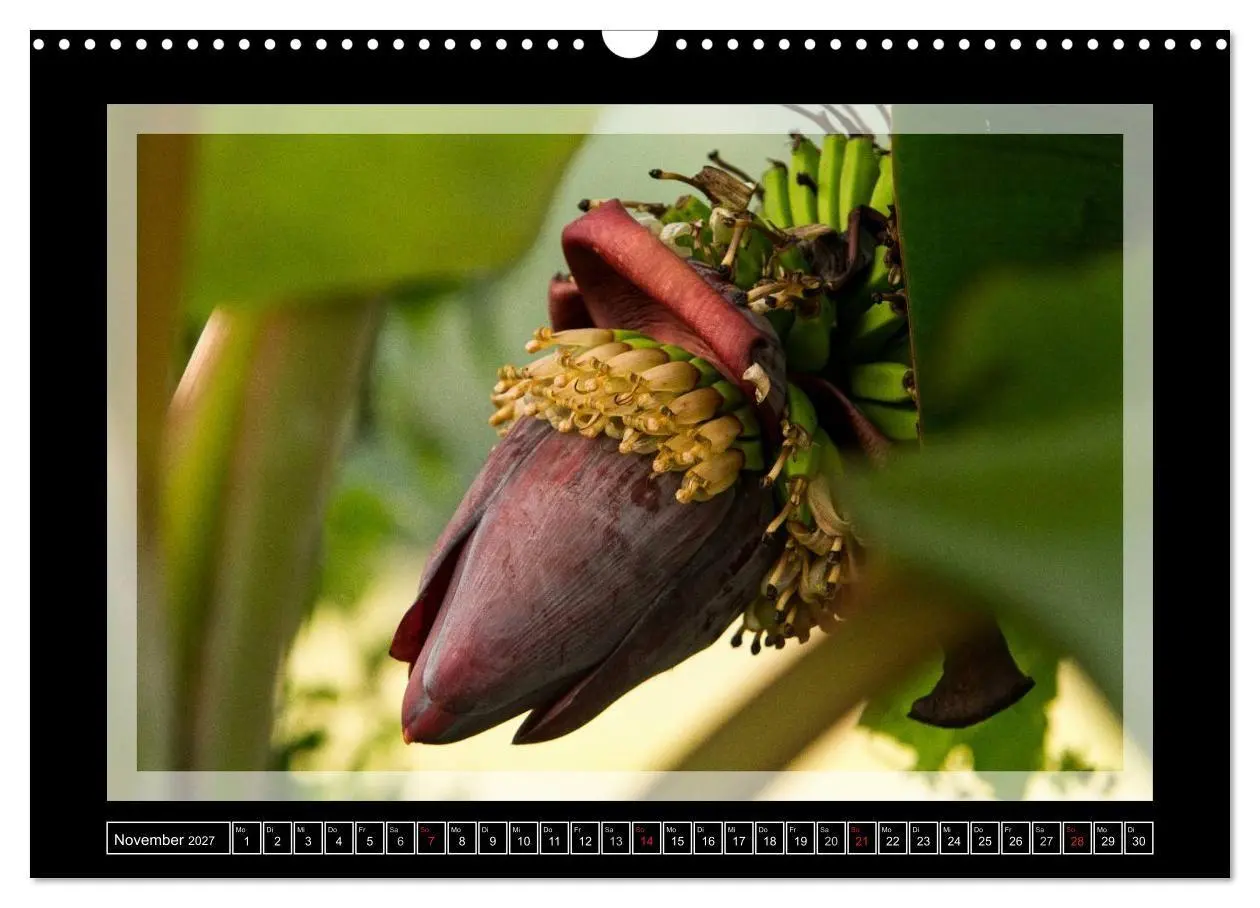 Bild: 9783594047415 | Kerala - Impressionen aus Südindien (Wandkalender 2027 DIN A3...
