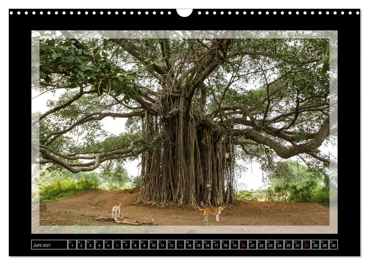 Bild: 9783594047415 | Kerala - Impressionen aus Südindien (Wandkalender 2027 DIN A3...