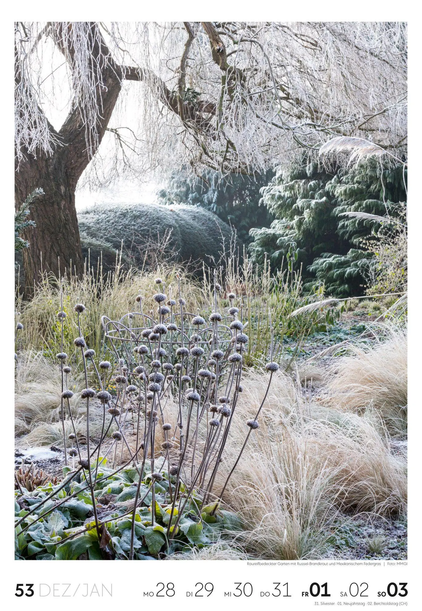 Bild: 9783838437415 | Garten Wochenkalender 2027 | Ackermann Kunstverlag GmbH | Kalender