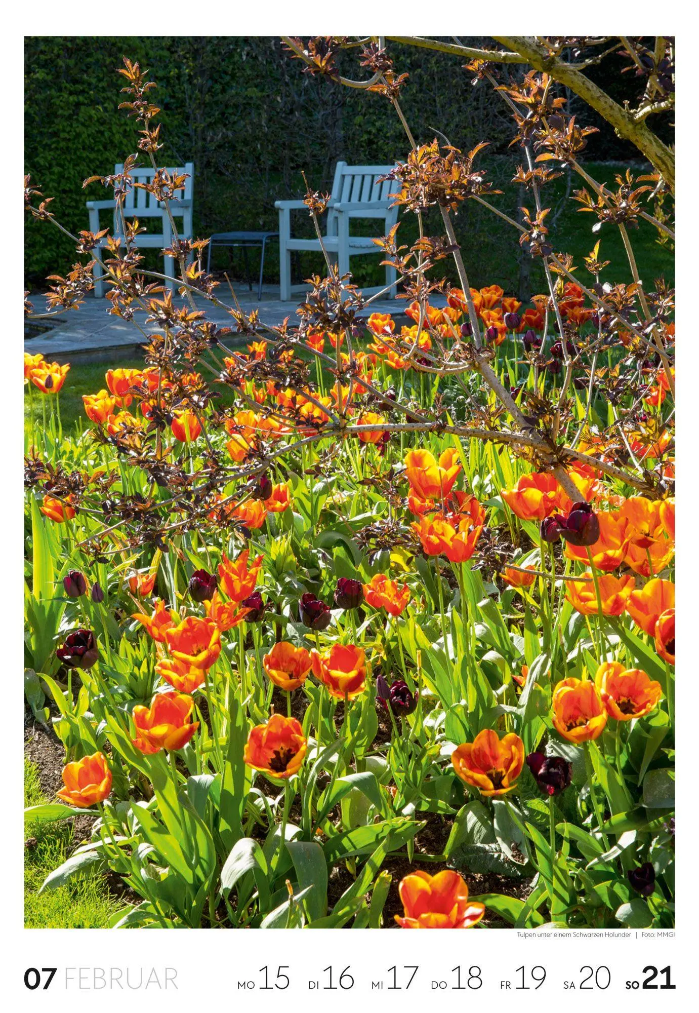 Bild: 9783838437415 | Garten Wochenkalender 2027 | Ackermann Kunstverlag GmbH | Kalender
