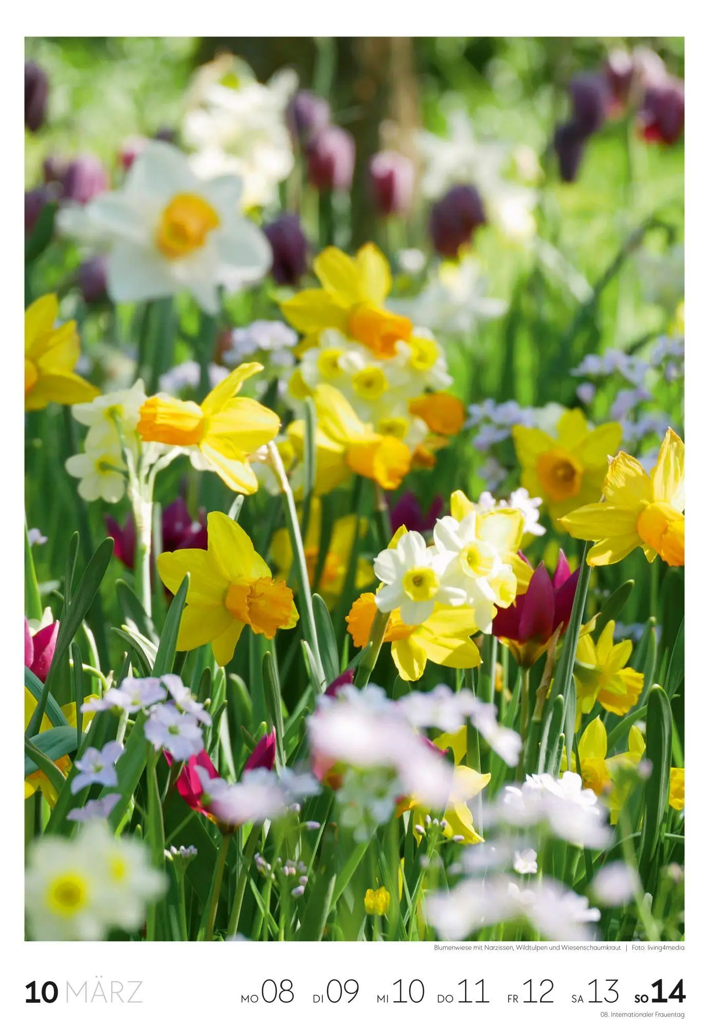 Bild: 9783838437415 | Garten Wochenkalender 2027 | Ackermann Kunstverlag GmbH | Kalender