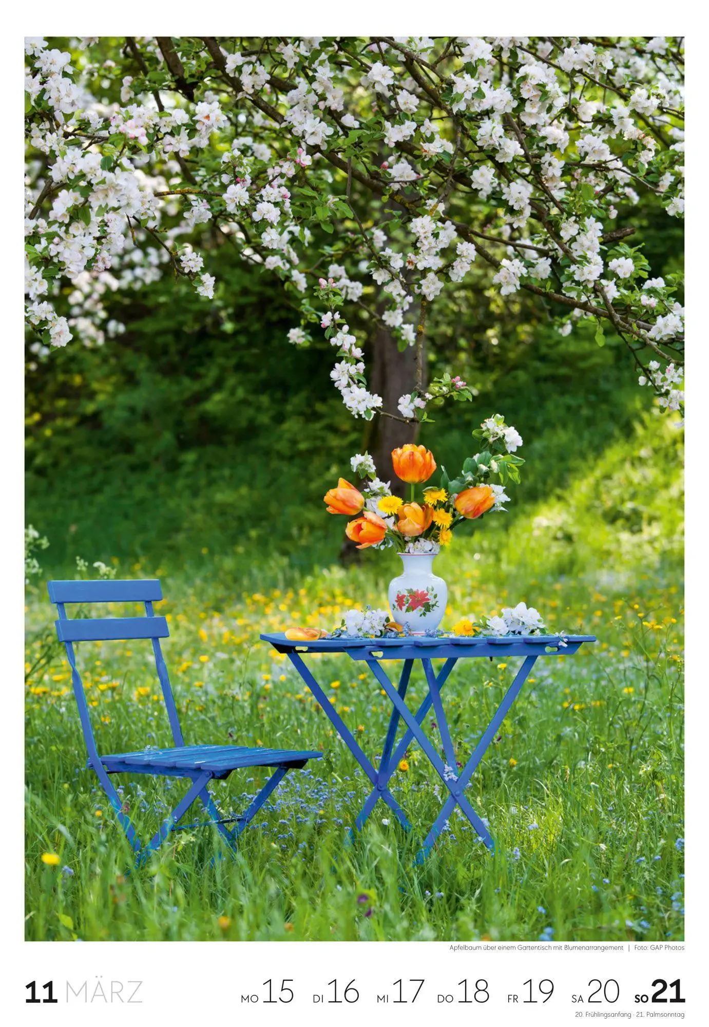 Bild: 9783838437415 | Garten Wochenkalender 2027 | Ackermann Kunstverlag GmbH | Kalender