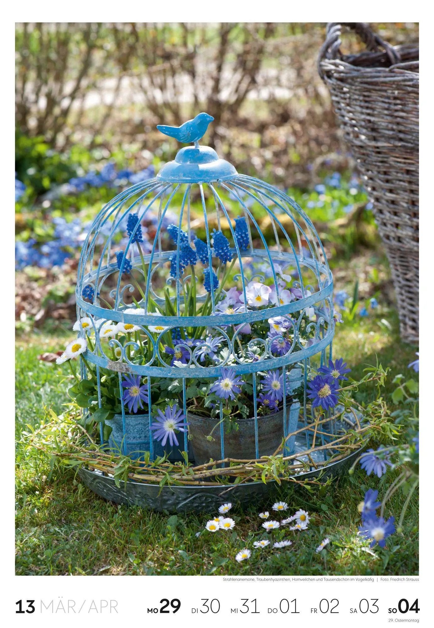 Bild: 9783838437415 | Garten Wochenkalender 2027 | Ackermann Kunstverlag GmbH | Kalender