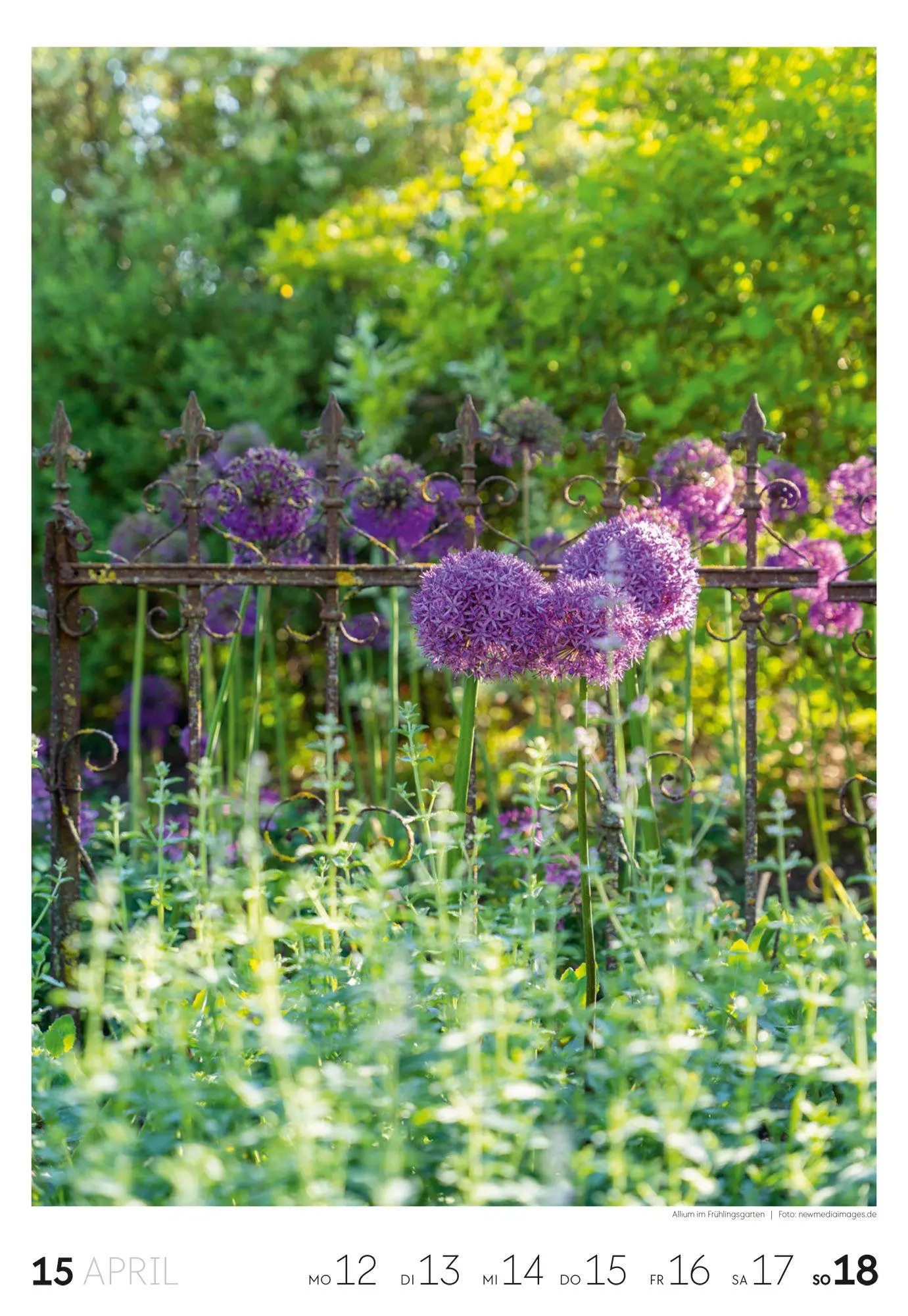 Bild: 9783838437415 | Garten Wochenkalender 2027 | Ackermann Kunstverlag GmbH | Kalender