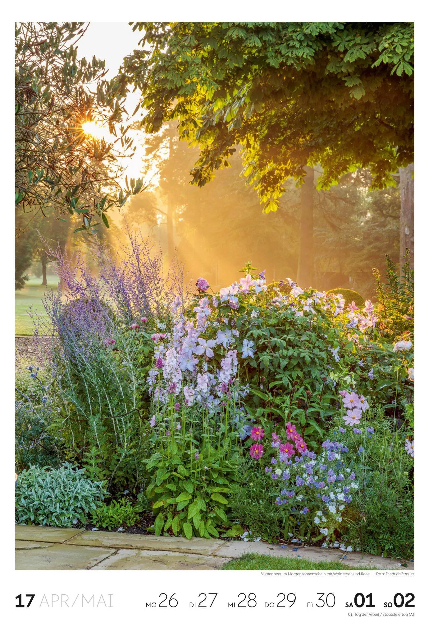 Bild: 9783838437415 | Garten Wochenkalender 2027 | Ackermann Kunstverlag GmbH | Kalender