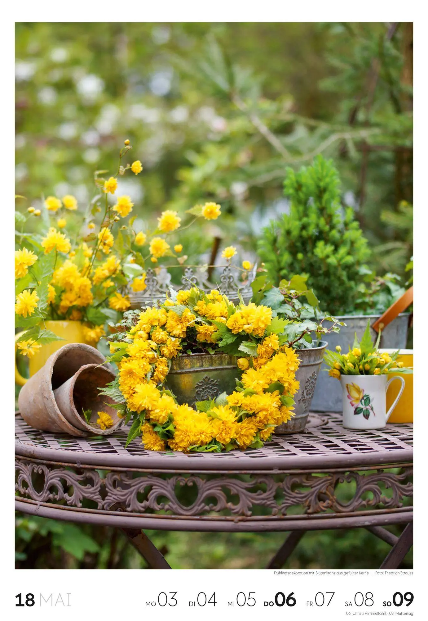 Bild: 9783838437415 | Garten Wochenkalender 2027 | Ackermann Kunstverlag GmbH | Kalender