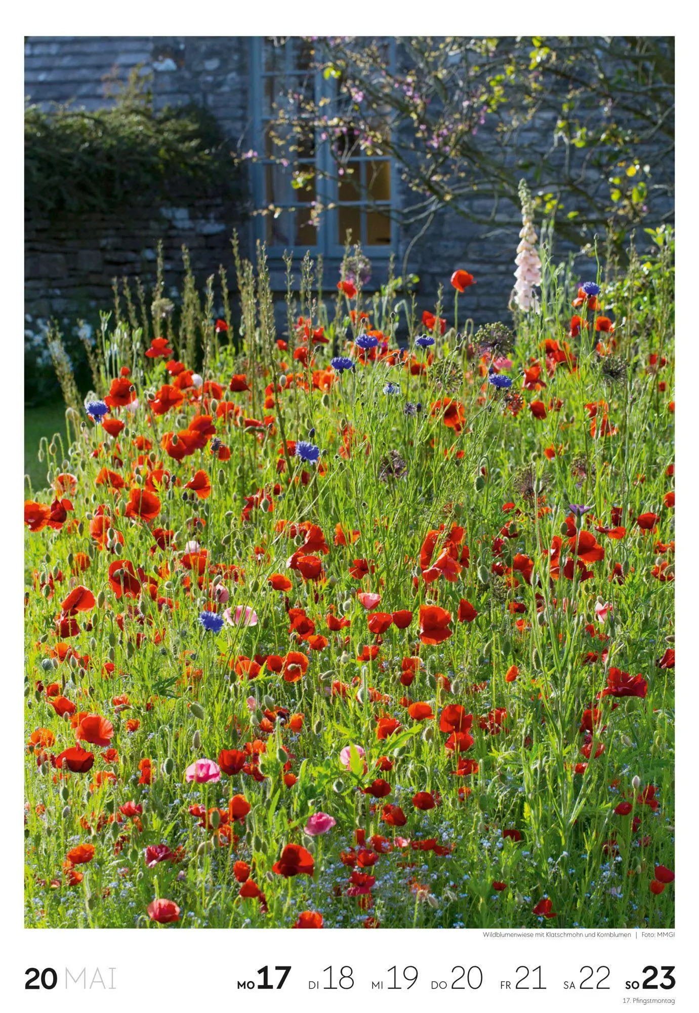 Bild: 9783838437415 | Garten Wochenkalender 2027 | Ackermann Kunstverlag GmbH | Kalender