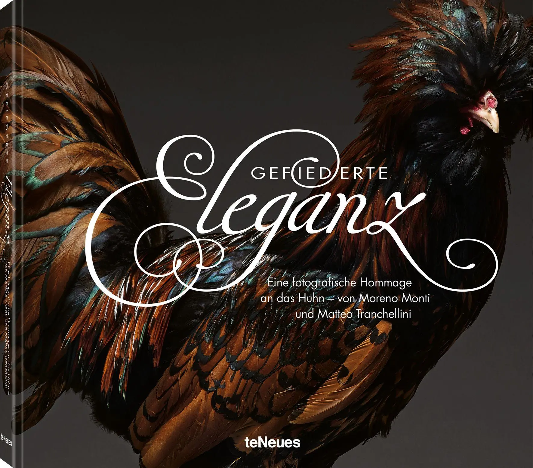 Cover: 9783961717415 | Gefiederte Eleganz | Eine fotografische Hommage an das Huhn | Buch