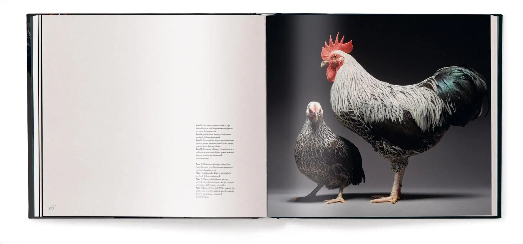 Bild: 9783961717415 | Gefiederte Eleganz | Eine fotografische Hommage an das Huhn | Buch