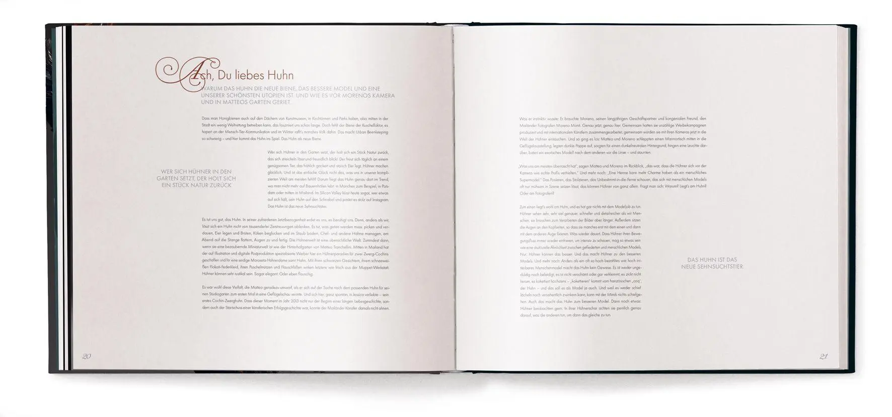 Bild: 9783961717415 | Gefiederte Eleganz | Eine fotografische Hommage an das Huhn | Buch