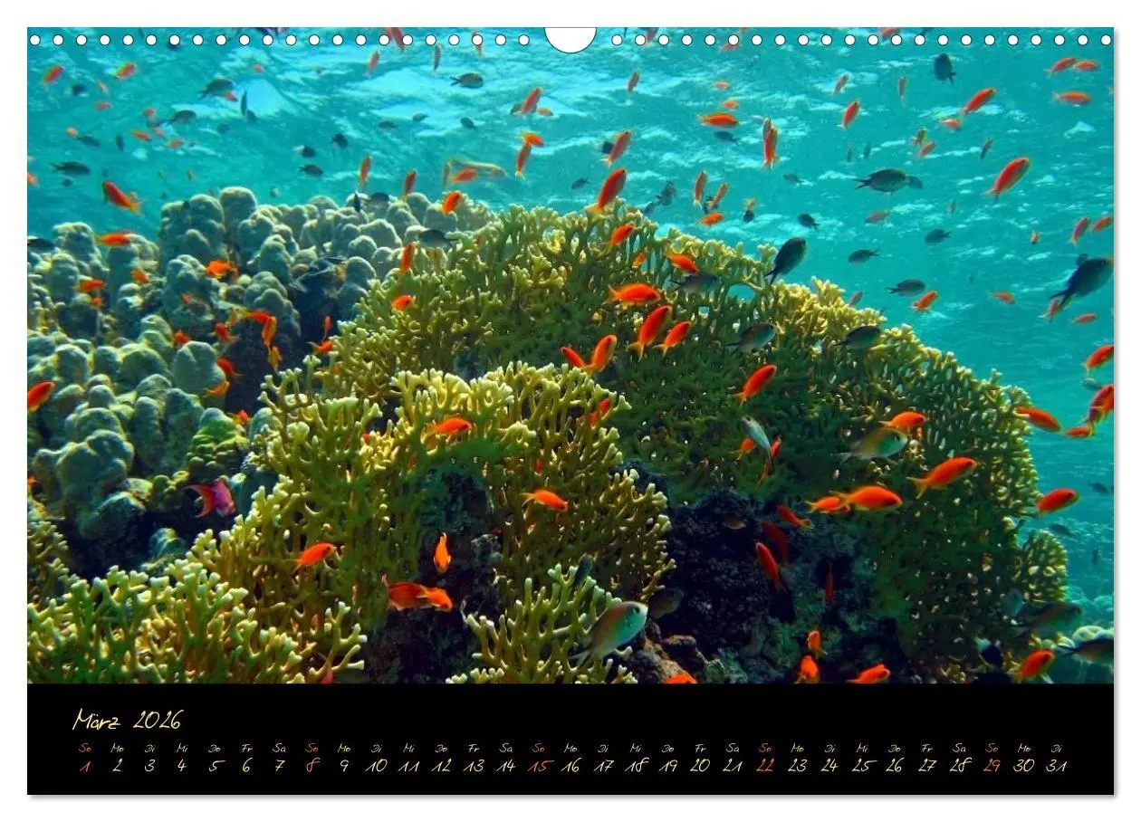 Bild: 9783516057515 | Ägypten - Eine Entdeckungsreise (Wandkalender 2026 DIN A3 quer),...